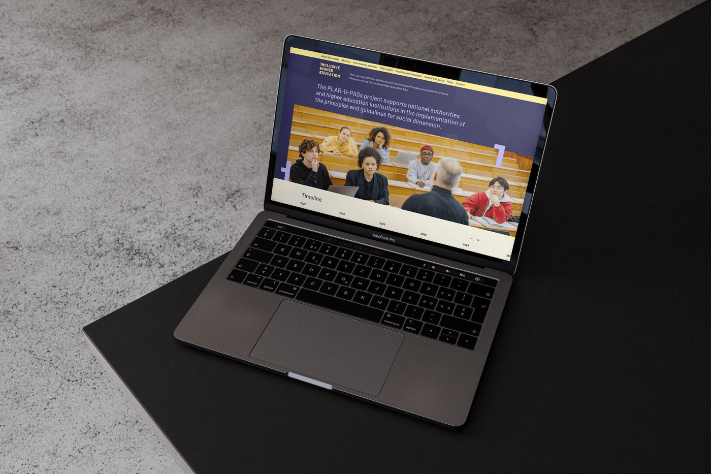 Inclusive Higher Education